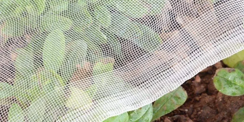 Insect Netting