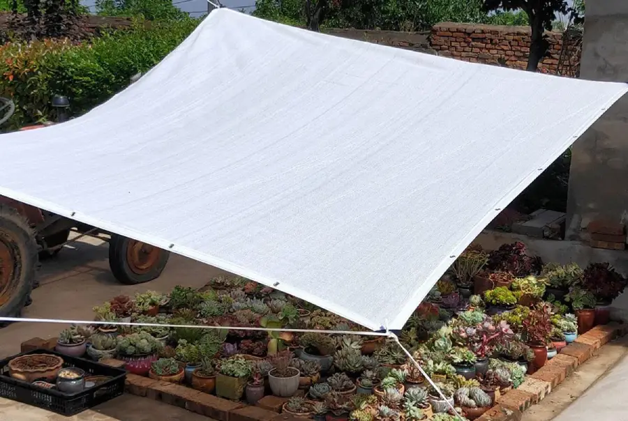 White vs Black Shade Cloth: Which Color is Best for Protecting