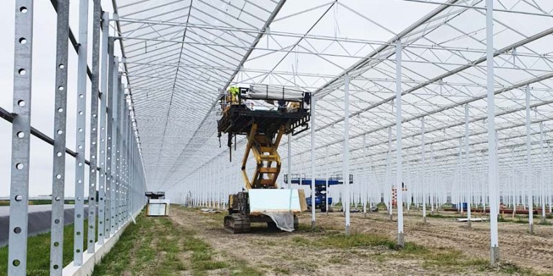 Commercial Greenhouse Construction Companies