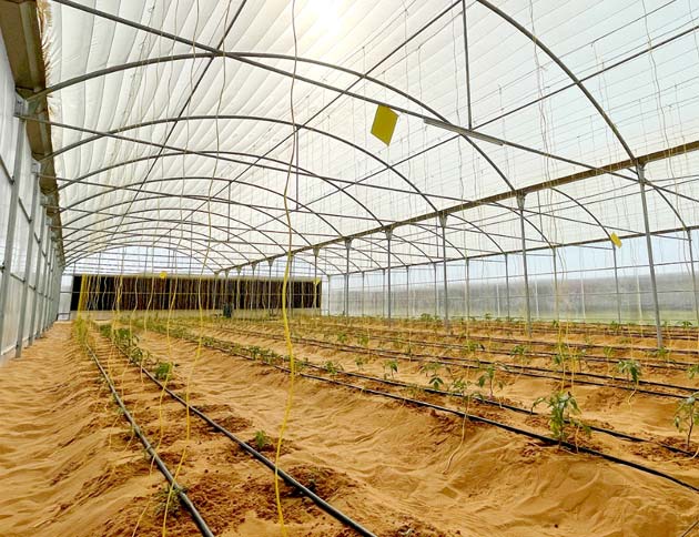 Gracia Group Greenhouse Construction Project