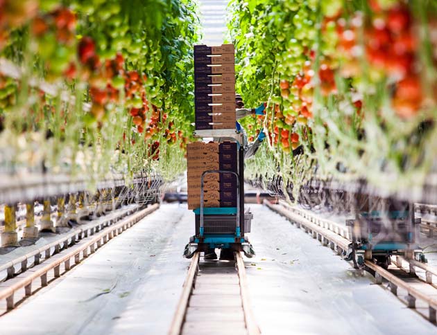 High-tech greenhouse equipments by DutchGreenhouses