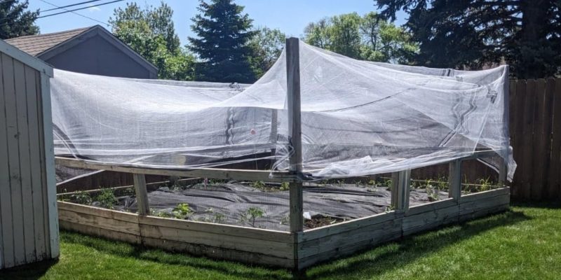 Garden hail netting idea