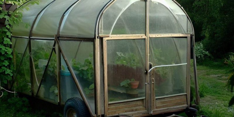 Best portable greenhouse