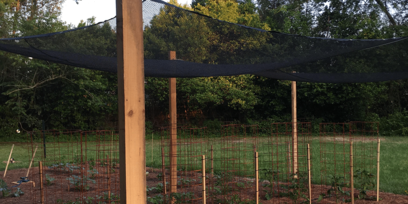 shade cloth for trees