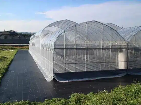 Anti insect netting house