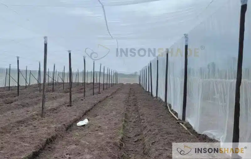 Customer's agro insect netting structure