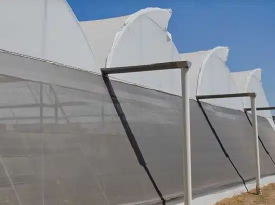 Insect Netting for Greenhouse Ventilation Openings