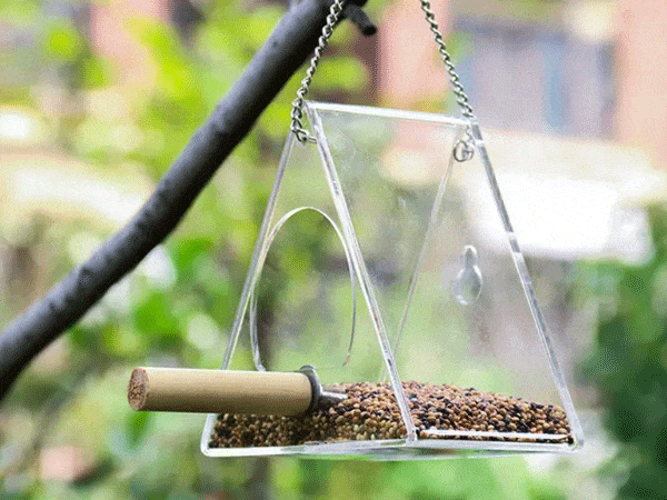 Bird feeder