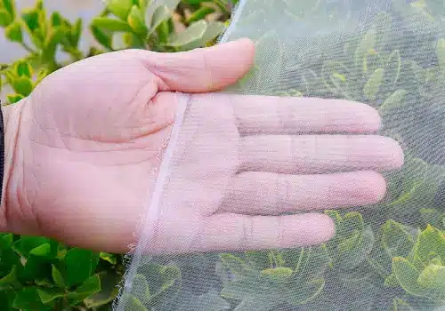 Flower Anti-insect Nets