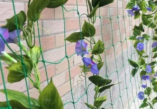 Support Nets for Flower Planting