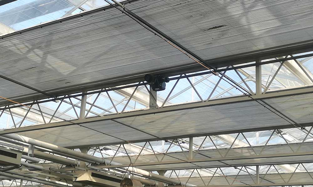 Best Greenhouse Material for Hot Climate
