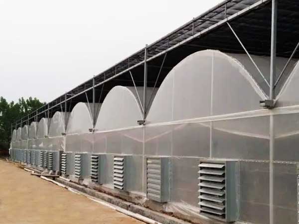 Greenhouse External Shading System