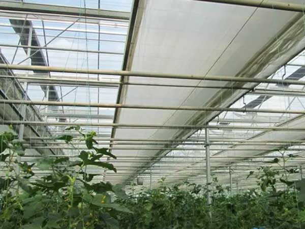 Greenhouse Internal Shading Curtains