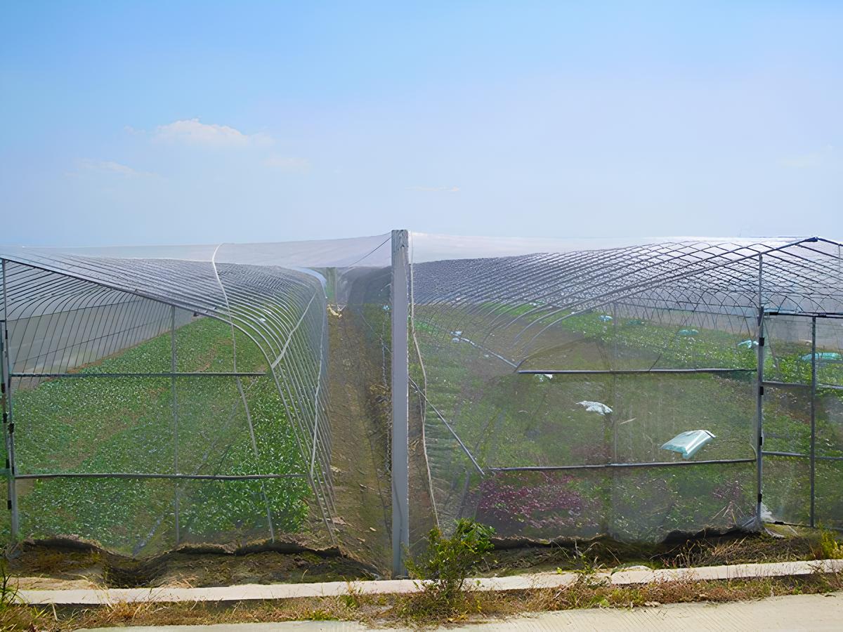 Benefits of Insect netting