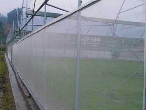 Insect Netting Installed on Greenhouse Sides