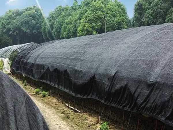 Shade nets for Polytunnel