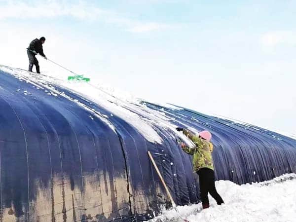 Cleaning snow off a greenhouse after a snowfall