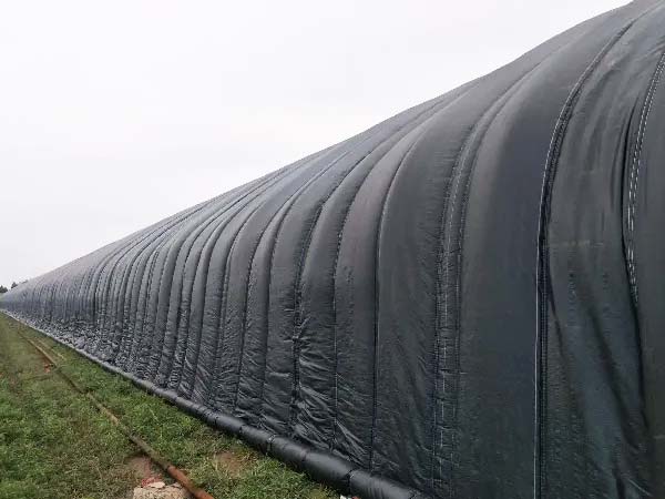 Insulation blankets covering a greenhouse