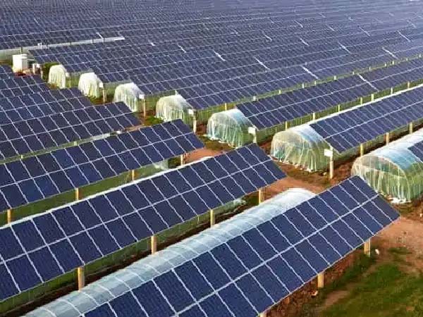 Solar panels installed on a greenhouse