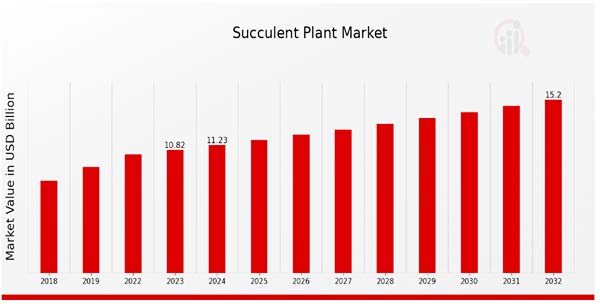 Growth Trend of Global Succulent Market Demand