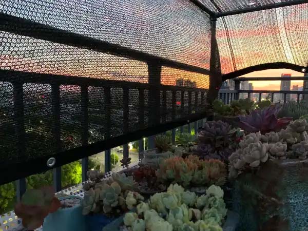 Shade net setup on a balcony